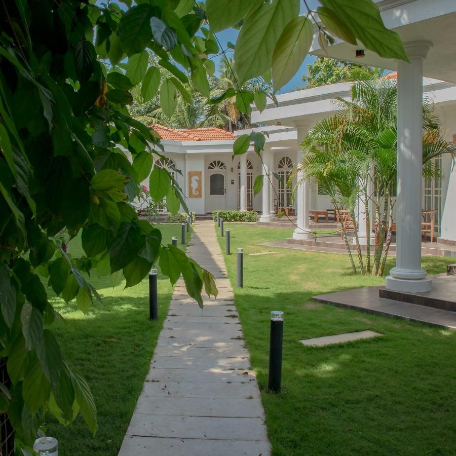 Seahorse Hotel & Spa Negombo Zewnętrze zdjęcie