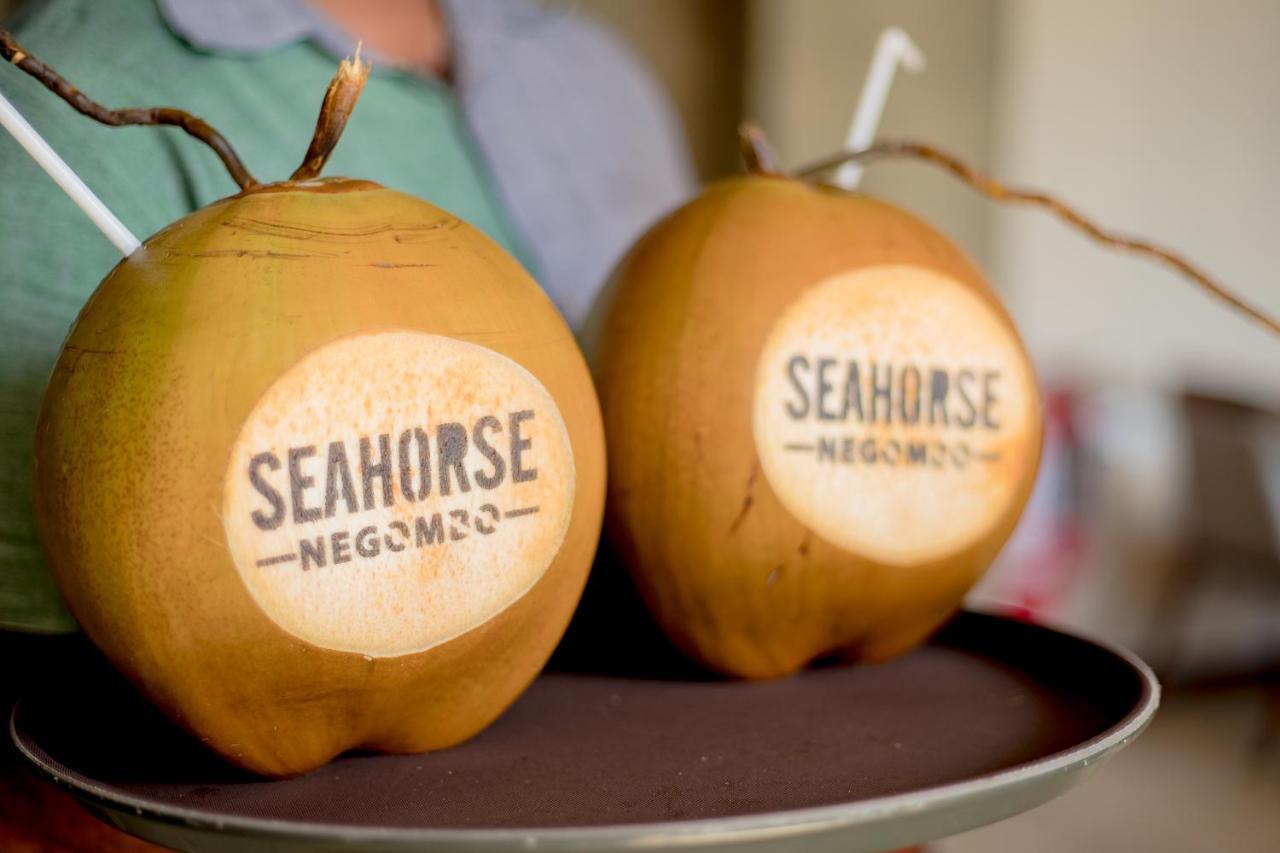 Seahorse Hotel & Spa Negombo Zewnętrze zdjęcie